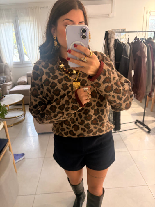 Pull Léo